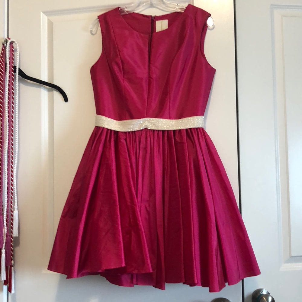 pink Fernando Wong dress with David’s bridal belt